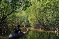 3 วัน 2 คืน จันทบุรี ระยอง