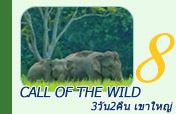 Call of the Wild: 3 วัน 2 คืน เขาใหญ่