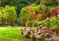 โคราช - กรุงเทพ 3 วัน 2 คืน