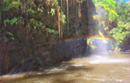 King of Waterfall : น้ำตกน้ำ ทีลอซู